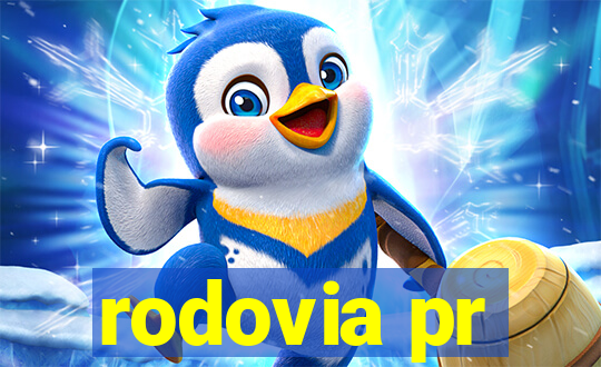rodovia pr-317 km 155 onde fica